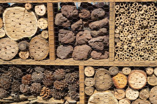 istock Squares with different textures of wood and stones 1438582995
