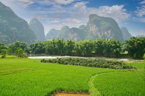 Scenic landscape with rice fields, flowing river and limestone hills near Yangshuo, China