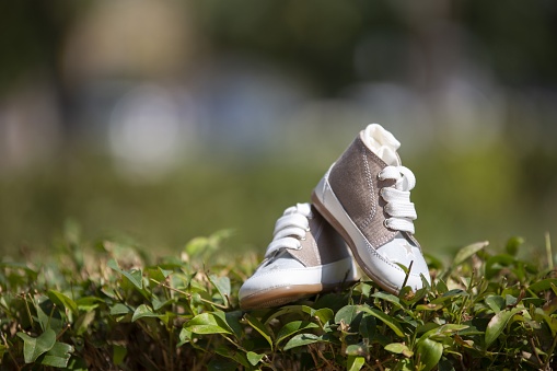 A closeup of baby sneakers on the lawn under sunlight with a blurry background