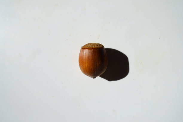 walnut in fingers over table and colored background