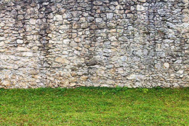 Old stone wall background with fresh green grass