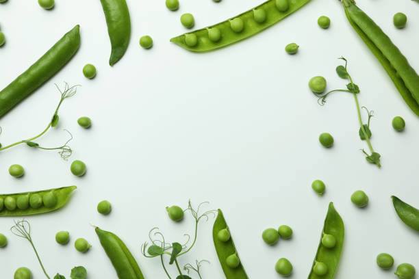 istock Green pea pods, seeds and twigs on white background 1438587165
