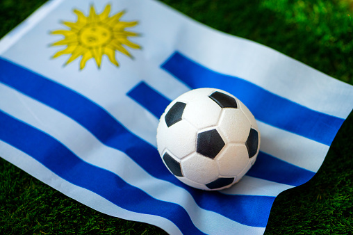 Uruguay national football team. National Flag on green grass and soccer ball. Football wallpaper for Championship and Tournament in 2022. World international match.