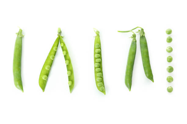 istock Fresh green pea isolated on white background 1438588414
