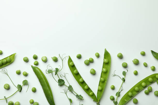 istock Green pea pods, seeds and twigs on white background 1438588709