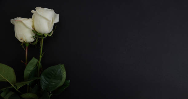 istock death and funeral card with white rose 1438588952