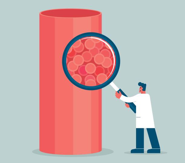 naczyń krwionośnych - szkło powiększające - human artery cholesterol atherosclerosis human heart stock illustrations