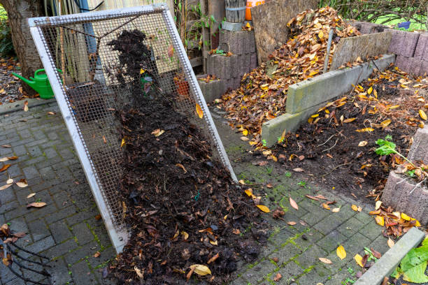 istock Topsoil is sifted on the compost 1438591555