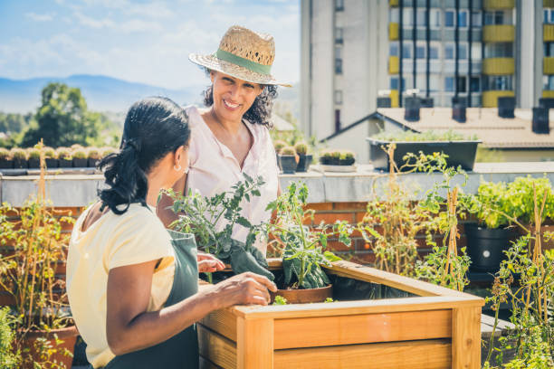 istock Urban gardening together on a rooftop 1438597204