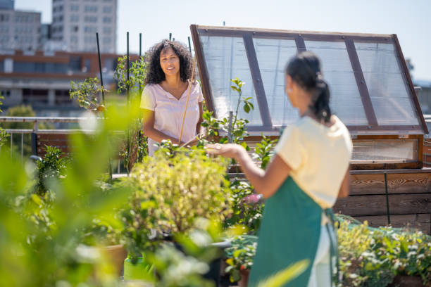 Urban gardening together on a rooftop
