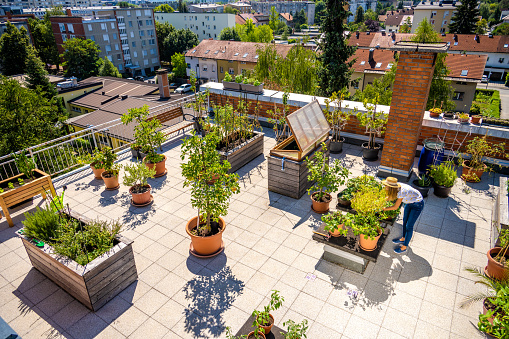 High angle view of young woman taking care of her plants on a rooftop garden.