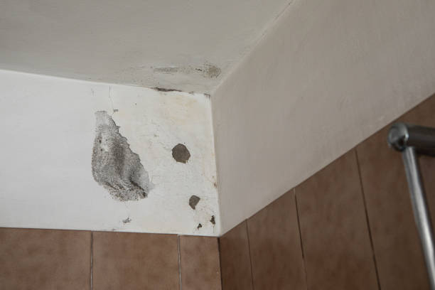 istock Room sealing view with white painting peeling off 1438597483