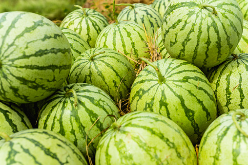 A large amount of watermelons in a grocery store