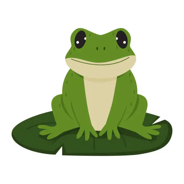 Vector illustration of Green cartoon frog sitting on a green water Lily leaf isolated on white background. Flat vector illustration.