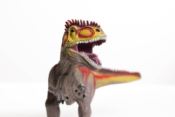 istock T-Rex dinosaur figurine isolated on white background 1438599421