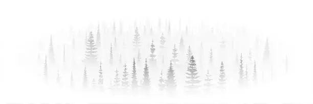 Vector illustration of Coniferous forest in the morning fog, black white landscape, vignette