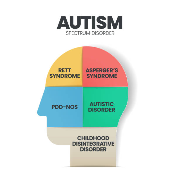 istock Autism spectrum disorder (ASD) infographic presentation template with icons has 5 steps such as Rett syndrome, Asperger's syndrome, PDD-NOS, Autistic disorder and childhood disorder. Diagram vector. 1438607221