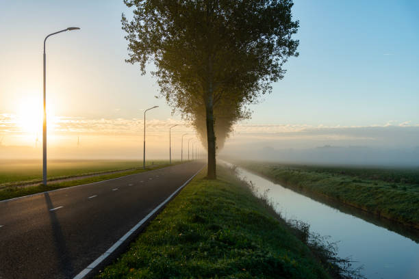 Road with fog in the morning, sunrise. stock photo