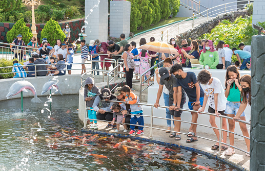 Sikatuna, Bohol, Philippines - May 2022: Local tourists feed the koi fish at Sikatuna Mirror of The World Park.