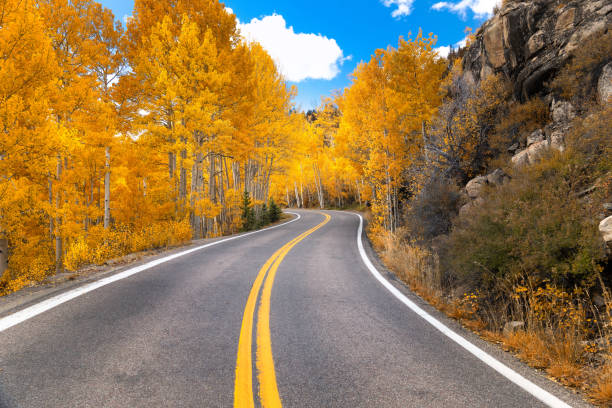 秋季のコロラドロッキー山脈 - golden autumn season forest ストックフォトと画像
