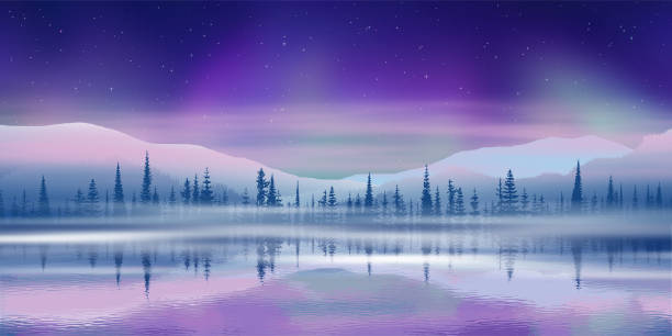 zorza polarna odbija się w wodzie, ilustracja ferii zimowych - winter landscape sweden snow stock illustrations