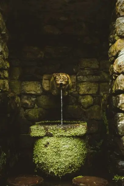 A vertical shot of an old animal head fountain enclosed by stonewalls