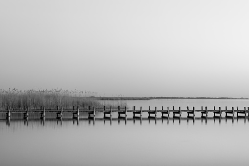 A greyscale shot of a wooden pier near the sea during daytime