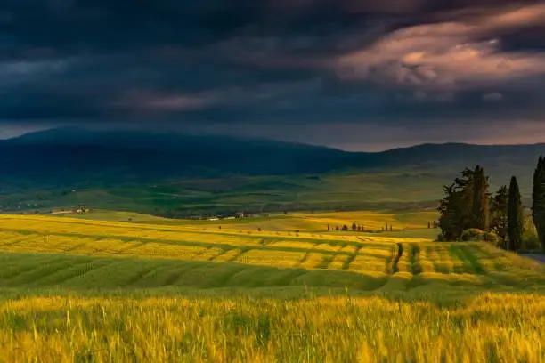 Photo of Beautiful scenery of a field surrounded by hills in the countryside