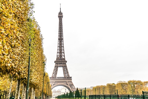 A distant shot of the Eiffel Tower in the surrounding of yellow trees on a gloomy autumn day