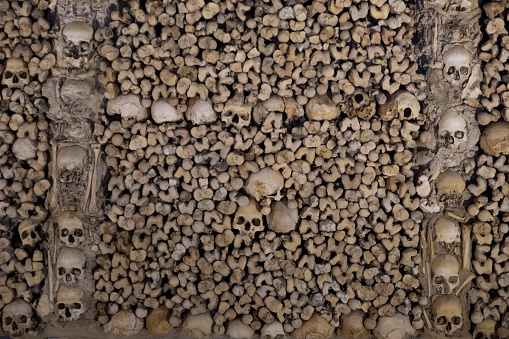 A closuep shot of human skulls on the wall
