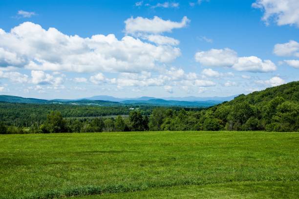 istock Green field surrounded by short trees and mountains on a sunny day 1438615755