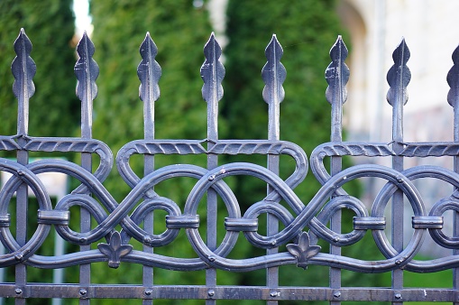A closeup shot of the beautiful patterned details of an iron fence