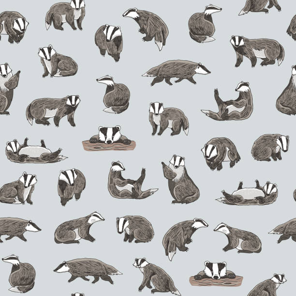 Badger forest animal vector seamless pattern. Badger forest animal vector seamless pattern. badger stock illustrations