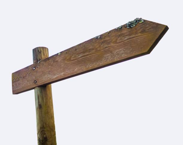 istock Empty wooden sign with a copy space isolated on a white background 1438616475