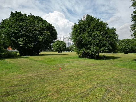 A park with lush trees and green grass  during daytime