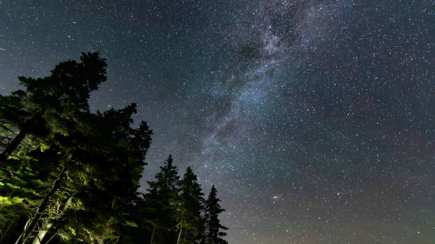 istock Low angle shot of a starry galaxy night sky over a park 1438616752