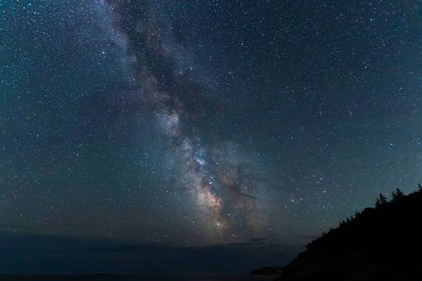 istock Low angle shot of a starry galaxy night sky over a park 1438616753