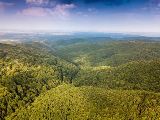 istock Drone view of cliffs landscape covered with greenery under blue cloudy sky 1438616967