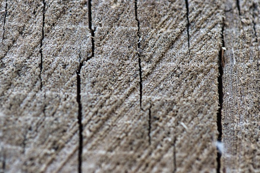 A close-up of a wooden surface, perfect for backgrounds and textures