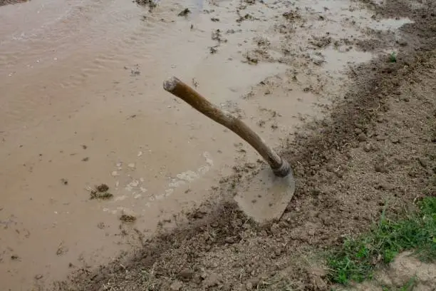 A hoe with a wooden hilt in a mud