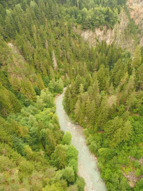 istock High-angle shot of a pine forest with stream flowing water 1438618105