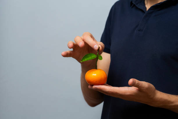 man holds a tangerine by the stalk in his hands, offering attention to this ripe juicy fruit. on a gray background in a blue T-shirt stock photo