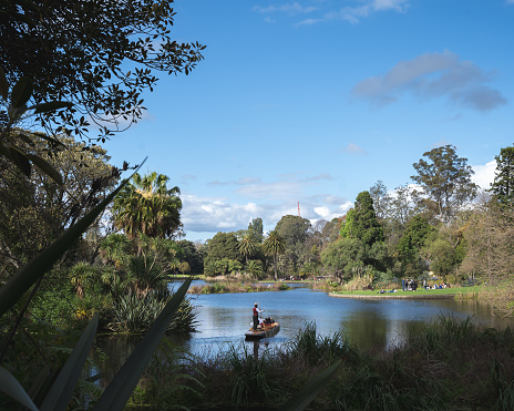 Enjoy private guided boat tours in the Royal Botanical Gardens