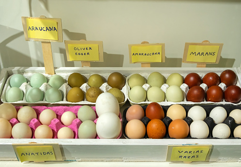Eggs of different kinds of birds and ducks and different breeds exposed for sale for incubation and subsequent breeding.