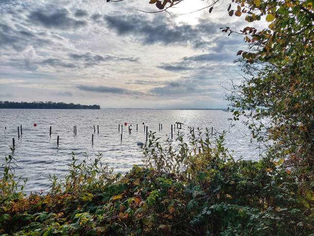 Blick auf den Schweriner See im Herbst mit Bäumen und buntem Laub und bewölktem Himmel.