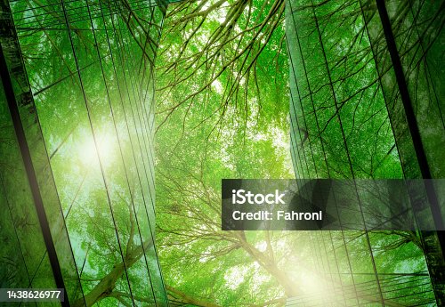 istock Sustainble green building. Eco-friendly building. Sustainable glass office building with tree for reducing carbon dioxide. Office with green environment. Corporate building reduce CO2. Safety glass. 1438626977