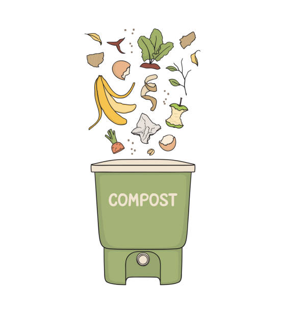 Composting Food and paper scraps falling into composting bin. Home composting, Organic waste recycling, Zero waste lifestyle concept compost stock illustrations