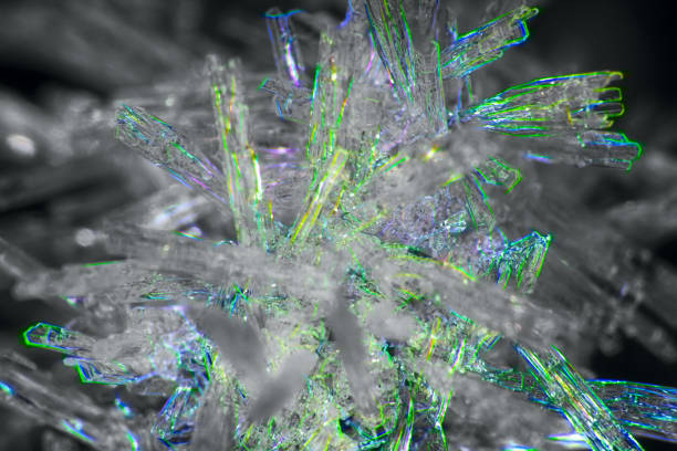 istock Hoarfrost on the branches. Ice crystals macro 1438627215