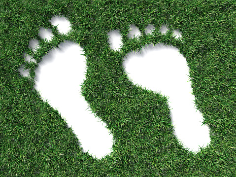White Footprints on the Grass. 3D image