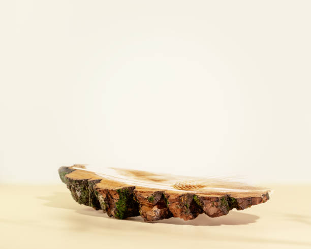 istock Empty podium material natural tree, ears of rye and wheat 1438633558